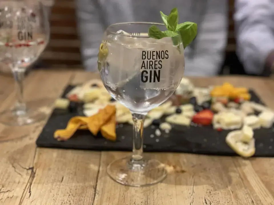 Copa Gin Tonic Buenos Aires Gin